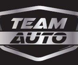 Team Auto image 1