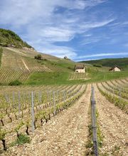 Maison Froquet image 4