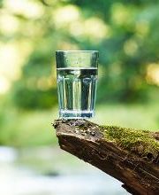 MOSQUINTES, S.L imagen 7