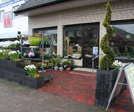 Inselblume Bild 1