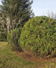 Jardin A2 et Marbrerie Theurillat Bild 14