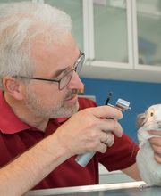 Tierarztpraxis Oppenheim Bild 11