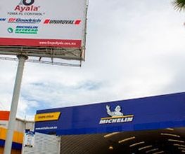 Michelin Car Service Grupo Ayala Navarrete imagen 1