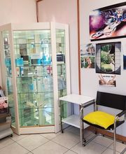 Les Orchidées image 5