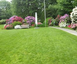 MM Gartenpflege GmbH Bild 10