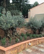 Exo Jardins SARL image 9