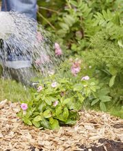 GAMM VERT VITRY EN CHAROLLAIS image 2