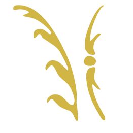 Strauss Finance