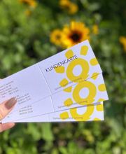 Sonnen-Apotheke Bild 1