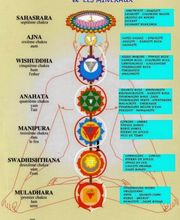 Francois energeticien56 image 4