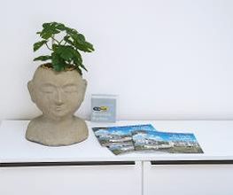 Immobilien Kolb GmbH Bild 4