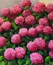 Florence Ramier image 4