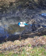 TE-Teichservice Bild 3