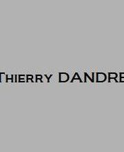 Dandre Thierry image 1