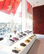 Camper Los Angeles image 5