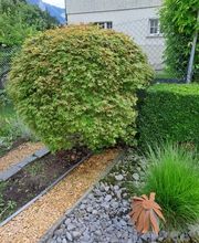 Bruno Winet, Privatgärtner Bild 4