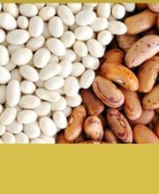 450397-Abonos-M-Garcia-banner3.jpg