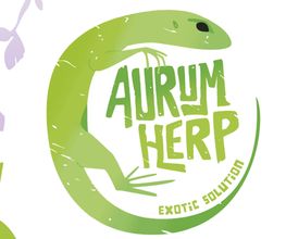 Aurum Herp imagen 1