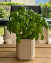 FAST LAYER VARIUS Bild 10