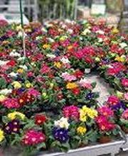 LANDI Val-de-Ruz Bild 12