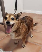 Arca Veterinaria imagen 8