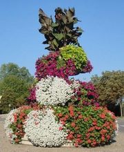 De Runz Services image 3