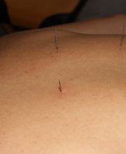 DONG 2000 TCM GmbH Bild 12