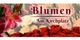 Blumen am Kirchplatz Inh. Sigrid Heinze