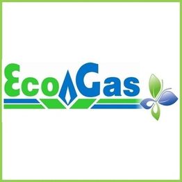 eco.gas logo