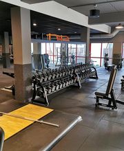 Basic-Fit Haarlem Bernadottelaan - free weight zone