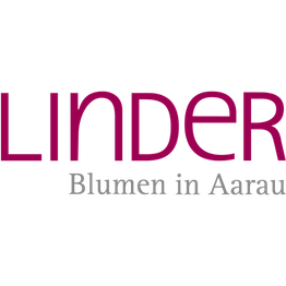 Linder Blumen am Bahnhofplatz in Aarau