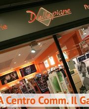 Gallery Cliente