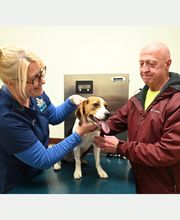 North Buffalo Animal Hospital image 14