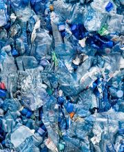 Gallery Professionale