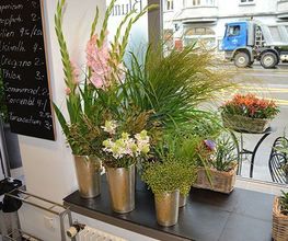 Blumen Art Bild 6