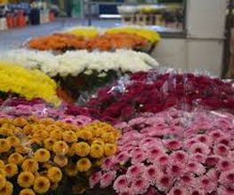 florcortadaenbormujos.jpg