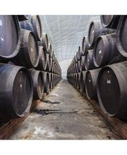 Bodegas Los Jumillanos imagen 14