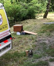 Berry Guêpes Frelons image 3