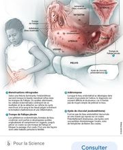 Vilerio Elodie image 9