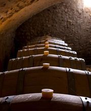 Domaine Gilbert SCEV image 3