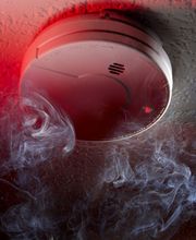 BZ Electronix GbR Bild 4