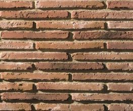 233061514-1-qJD3Swkuip1738687355674.jpeg