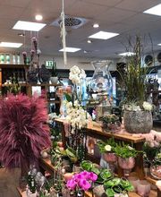 Blumen Interfleur Floristik & Wohnaccessoires Bild 8