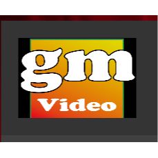 gm-video - Digitalisierung