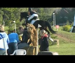 Reitschule Hess Bild 3