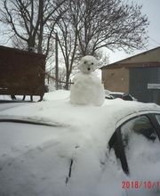 Auto Pieces 43 Careco image 2