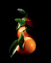 TRANSGOURMET BOURGOGNE image 10