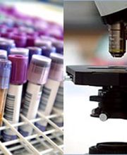 Unilabs Coppet - Laboratoire d'analyses médicales Bild 5