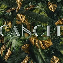 Canopé