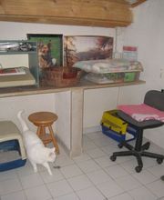 CHENIL DU PLAN image 1